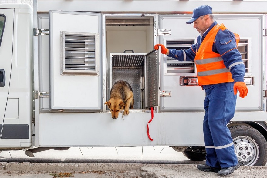 зооконтроль