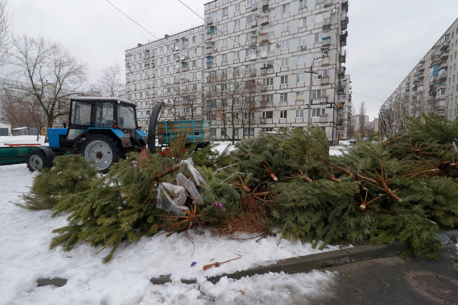 У Дніпрі новорічні ялинки переробляють на брикети для опалення