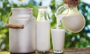 milk_0