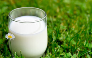 кисломолочные продукты