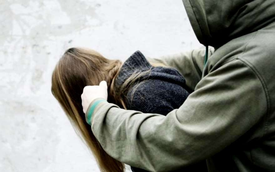 напасть на школьницу, фото из открытых источников