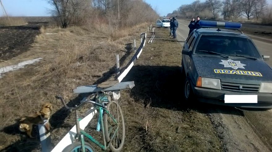 металлическое ограждение, фото УПД ГУНП