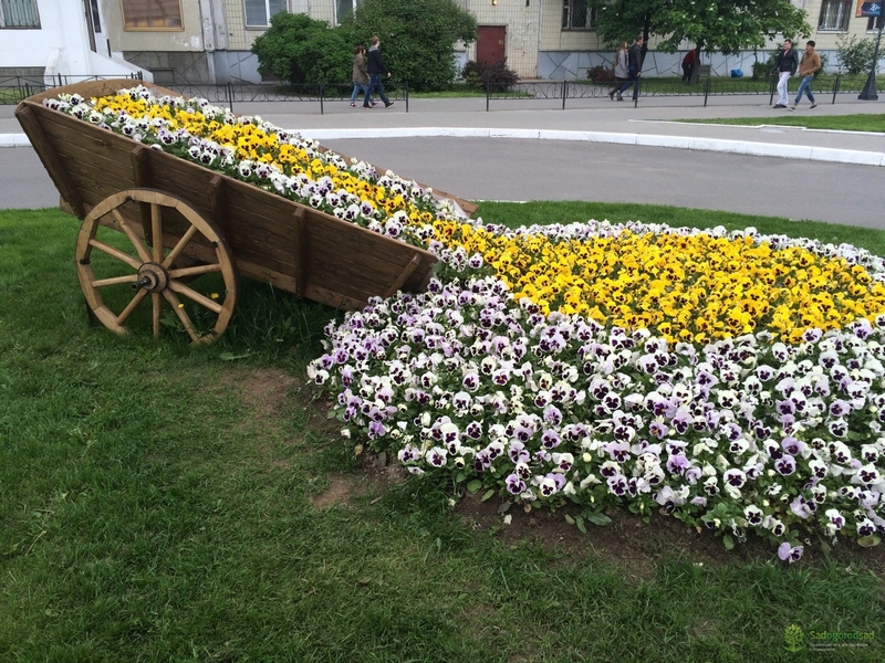 «Экосфера Днепр»