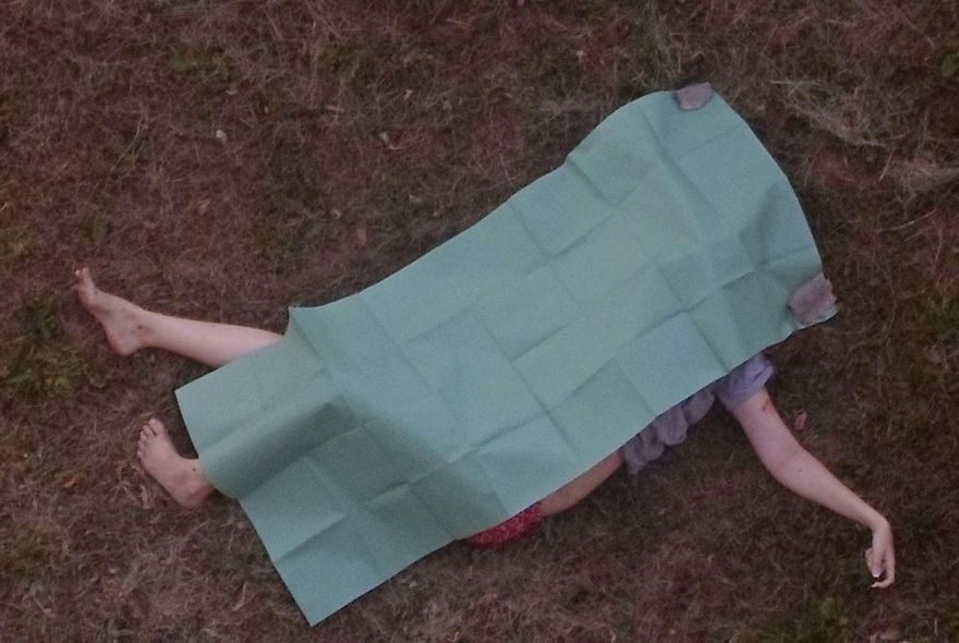 фото из открытых источников, девушка выпала из окна