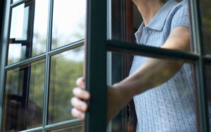 фото https://kievvlast.com.ua, открыть окно