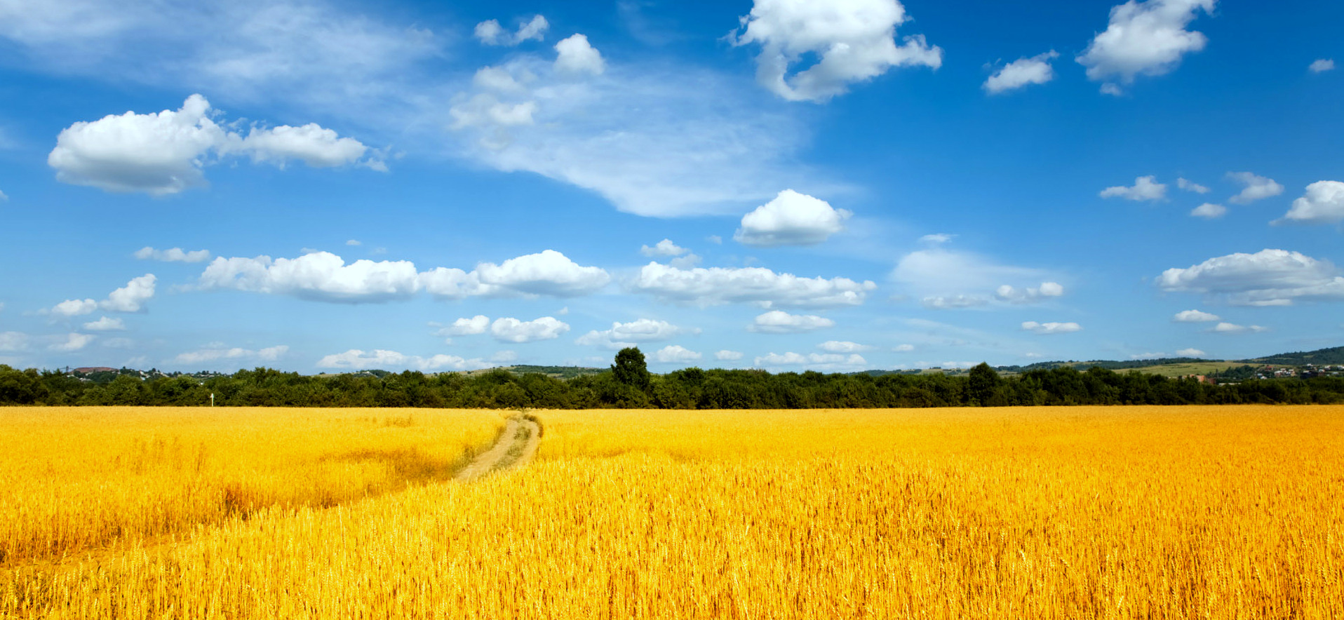 Украина