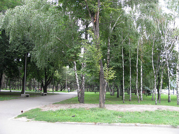 парк Писаржевского