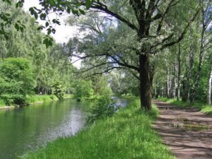 парк, фото из открытых источников