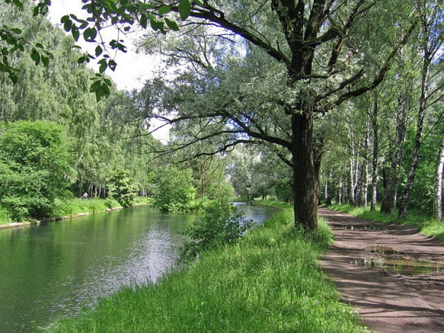 парк, фото из открытых источников