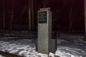 фото https://dp.informator.ua, украли бюст