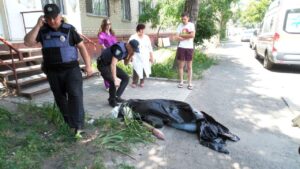 photo_2018-06-16_10-26-00