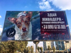 photo_2018-10-26_12-57-23