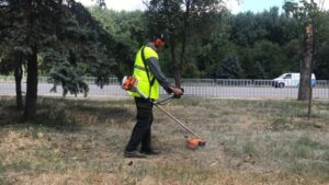 В Днепре активно борются с карантинными растениями