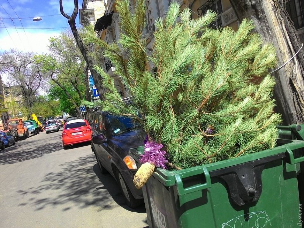 picturepicture_82084465147594_12769