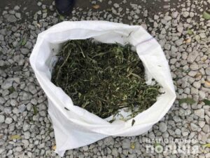 фото полиции