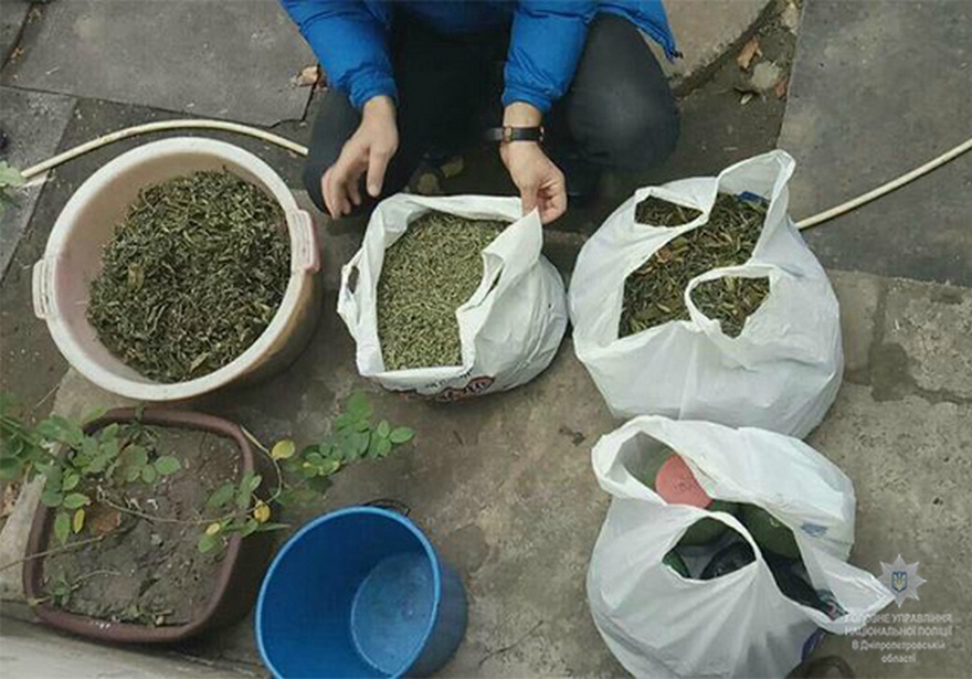 наркотики, фото ГУНП