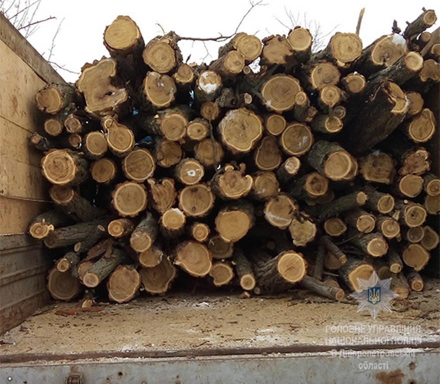 фото ГУНП, рубить деревья в заповеднике