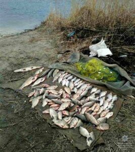 фото ГУНП, задержание браконьера с сетями и уловом