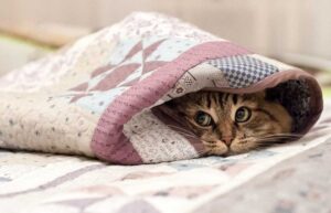 В Днепре на выходных сильно похолодает