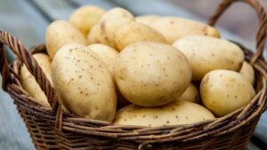 картофель