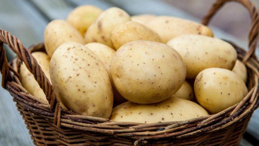 картофель
