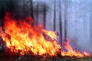 При пожаре в частном доме обгорел пожилой мужчина (фото)