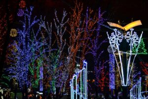 днепр, фото из открытых источников