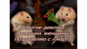 prikolnyie-sms-pozdravleniya-s-8-marta-podruge-ot-podrugi-9