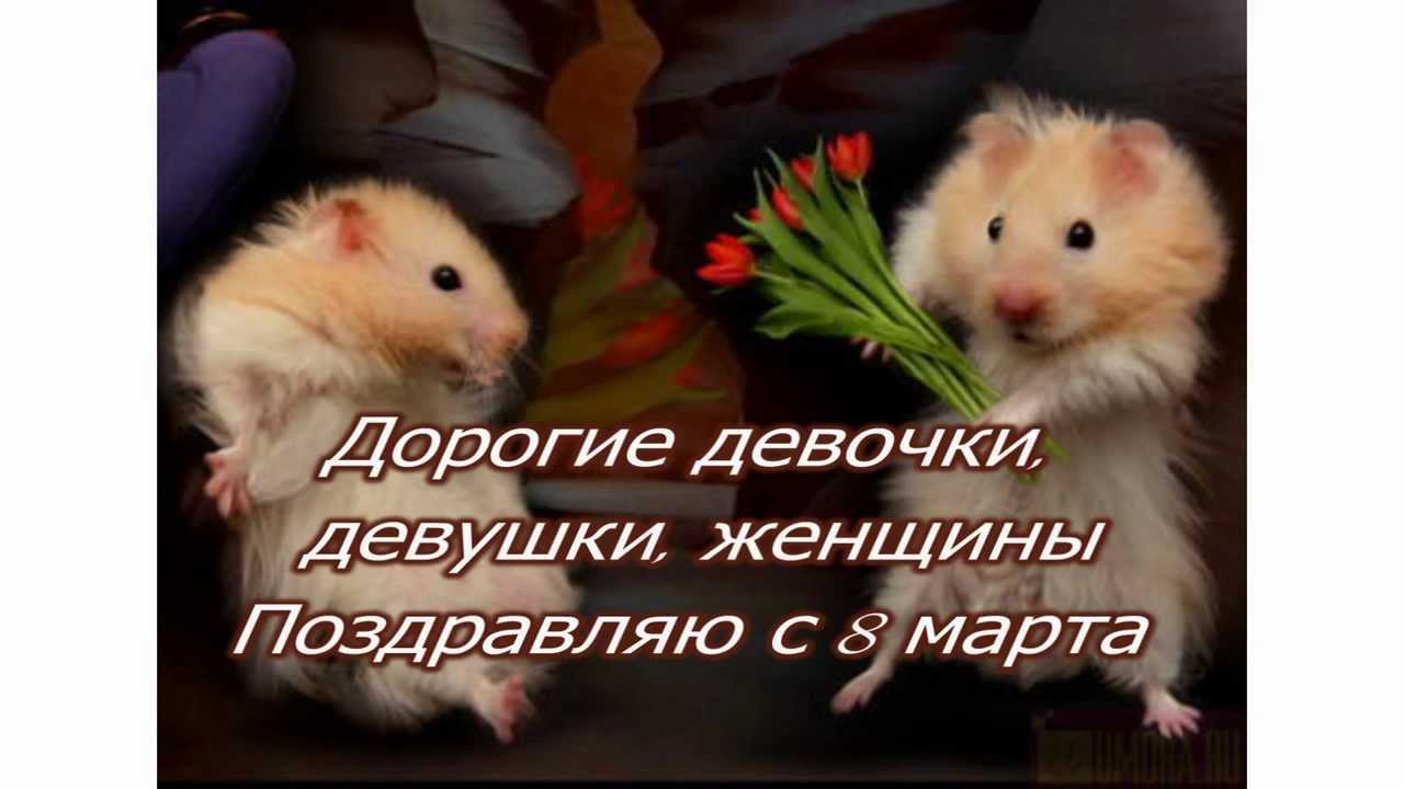 prikolnyie-sms-pozdravleniya-s-8-marta-podruge-ot-podrugi-9
