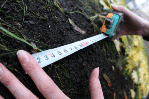 publication_251462_imgfd8f4585c018c3b121f1fcd967507096