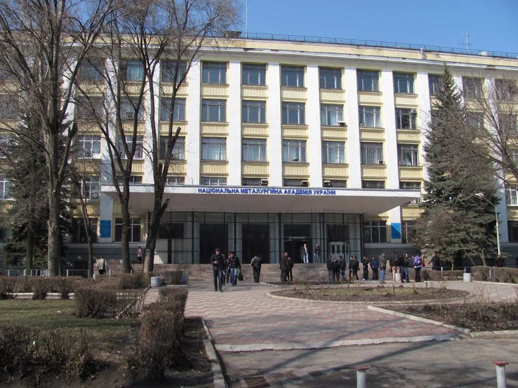 Национальная металлургическая академия