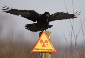 Радиационная опасность