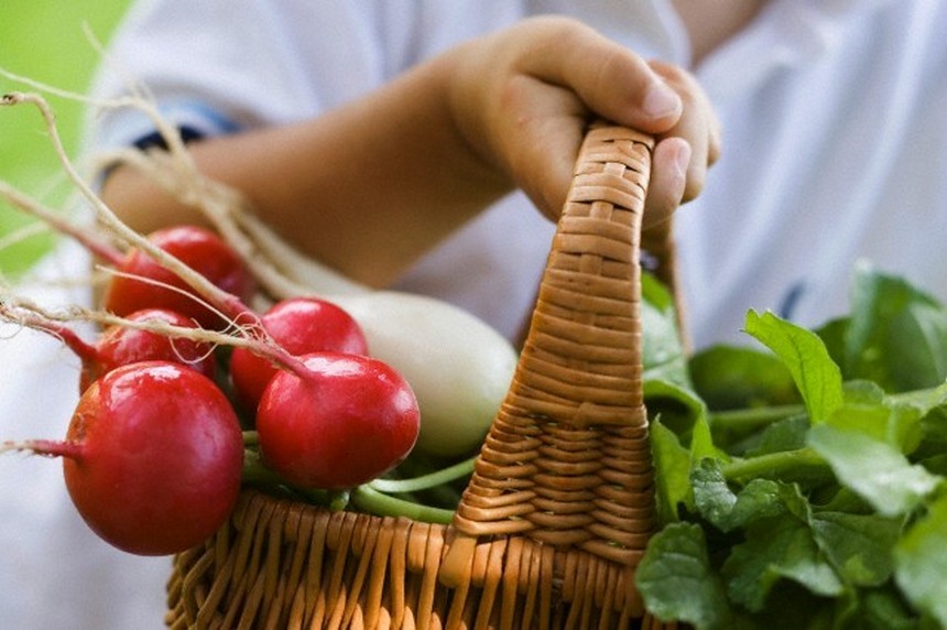 ранние овощи