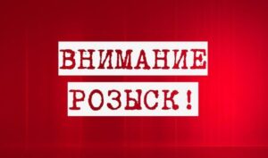 На Днепропетровщине иномарка сбила насмерть велосипедиста