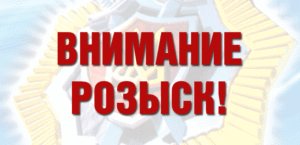 rozysk