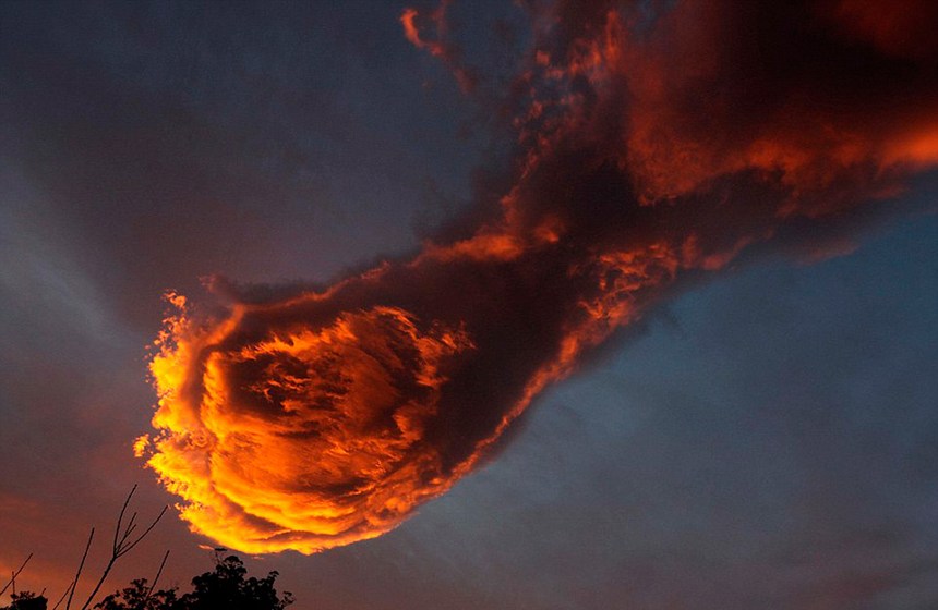 пакет в руке, фото из открытых источников