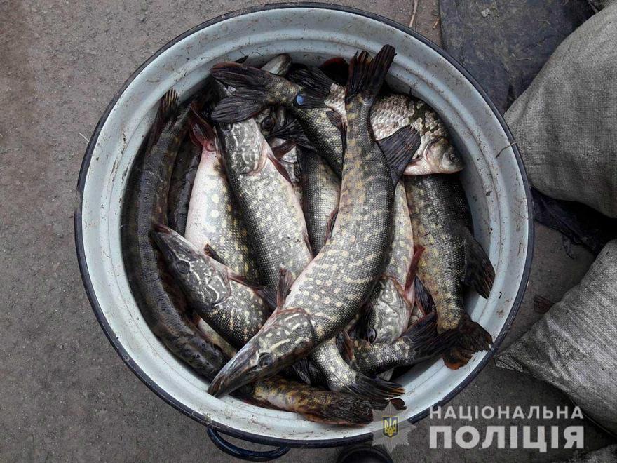 фото полиции