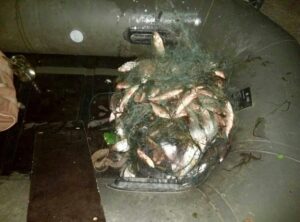 улов браконьеров, фото полиции