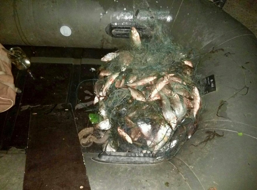 улов браконьеров, фото полиции