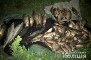 фото полиции