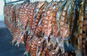 В Украине увеличилось производство рыбной продукции