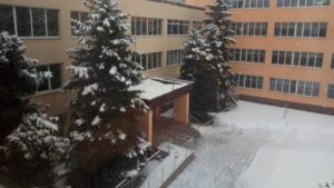 школа
