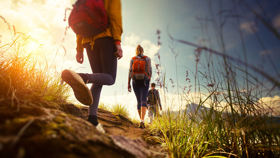 shutterstock_208356901-pic905-895x505-94761