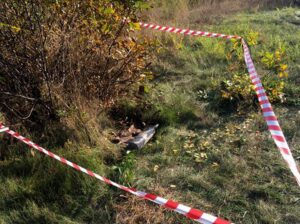 фото http://krnews.ua, снаряд во время ремонтных работ