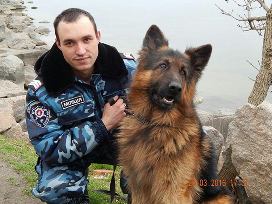 служебный пес