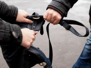 выхватить сумку из рук, фото из открытых источников