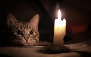 отключат свет, фото из открытых источников