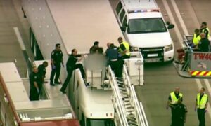 женщина на несколько часов парализовала движение на трассе штата Техас