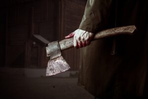 топор в крови, фото из открытых источников