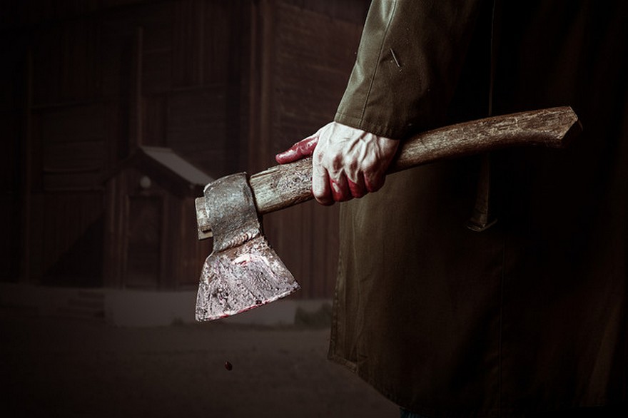топор в крови, фото из открытых источников